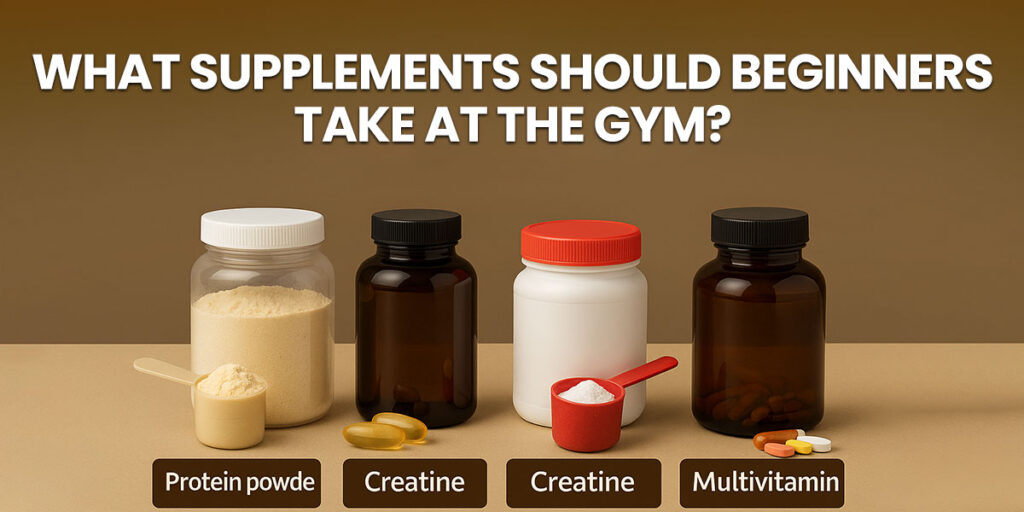 supplements for gym beginners