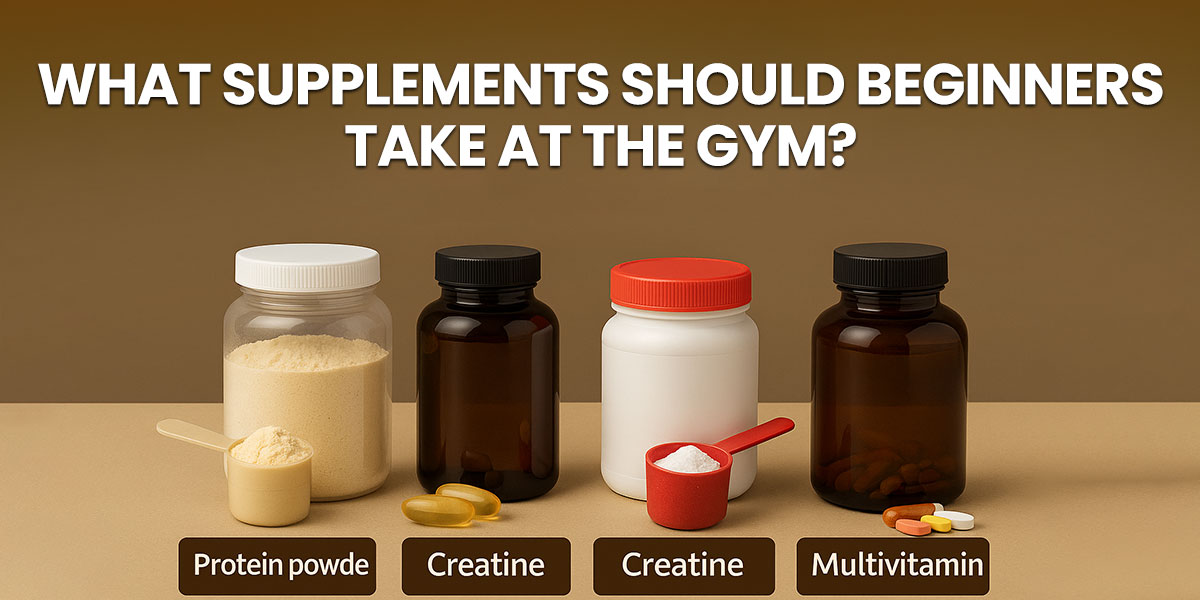 supplements for gym beginners