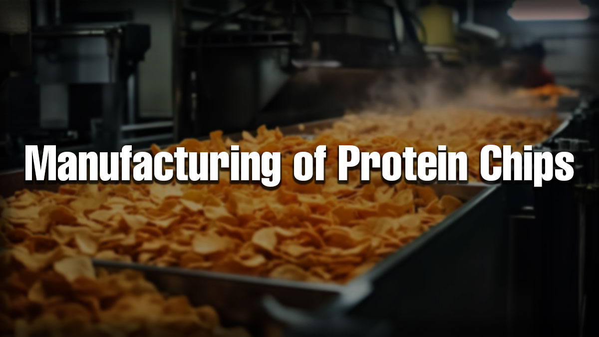 Industrial setup of a protein chips manufacturing plant with chips moving along conveyor lines and steam rising in the background.