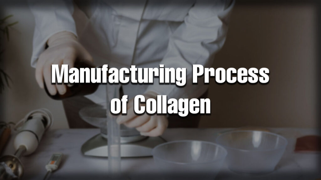 Person in lab coat and gloves handling lab equipment during the collagen manufacturing process, with text overlay “Manufacturing Process of Collagen.