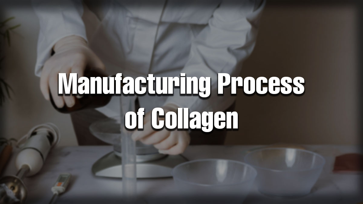 Person in lab coat and gloves handling lab equipment during the collagen manufacturing process, with text overlay “Manufacturing Process of Collagen.
