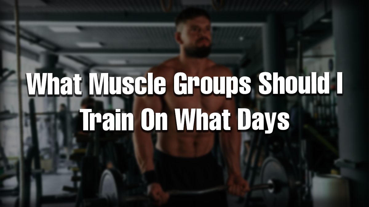 A muscular man training in a gym, representing a muscle group workout split and how to plan which muscles to train on specific days.